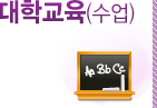 대학교육