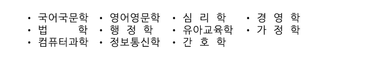 전공분야2